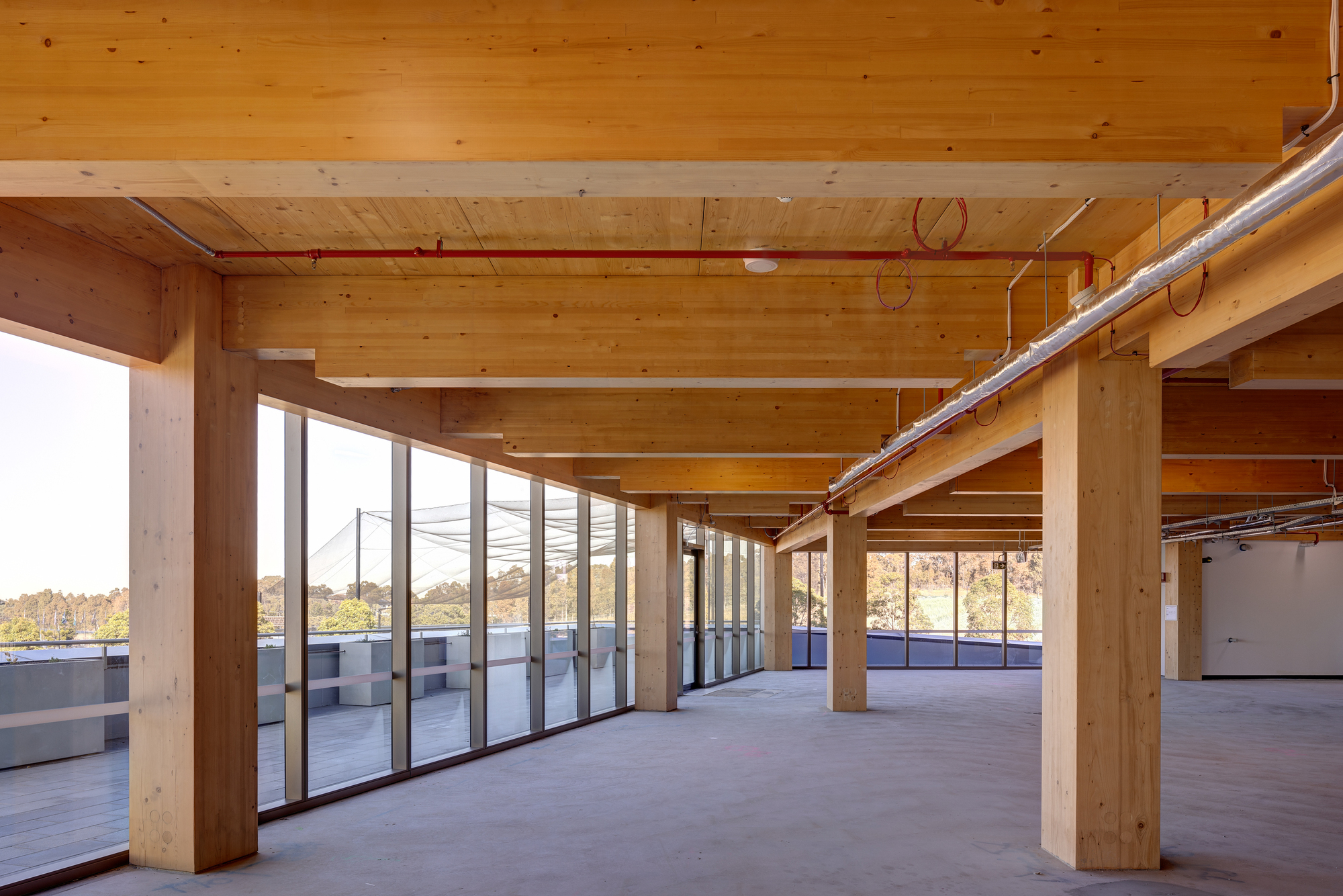 The Bond Timber Office Building - View 5